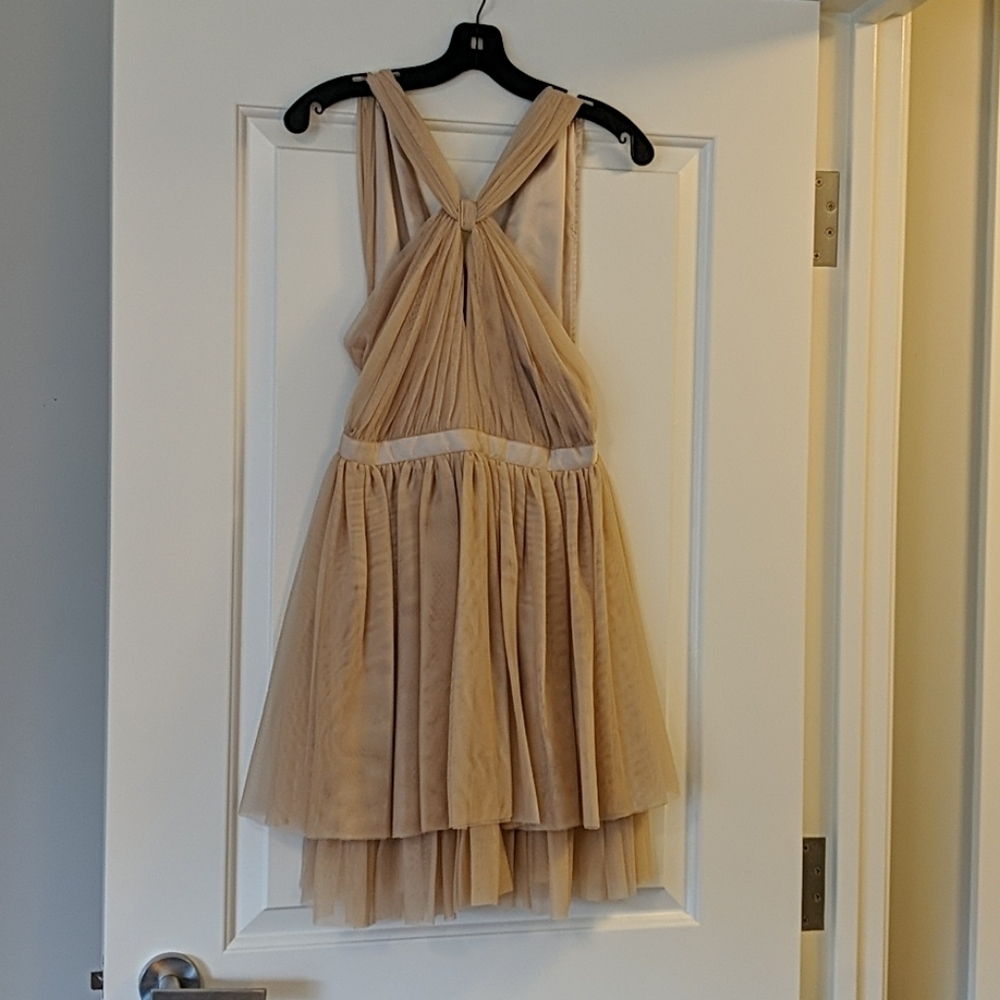 Club Monaco Tulle Dress